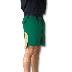 Greenzone shorts